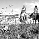Illustration for article titled This Manga is as Hardcore as the Vikings